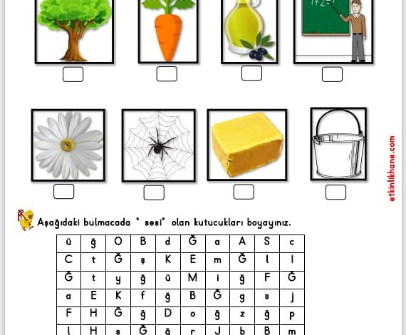 “Ğ Sesi” Hissetme ve Tanıma Etkinlikleri