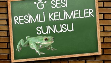 Ğ Sesi Resimli Kelimeler Sunusu