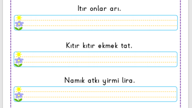 “I Sesi” Cümle Oluşturma Etkinlikleri