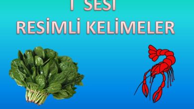 I Sesi Resimli Kelimeler Sunusu