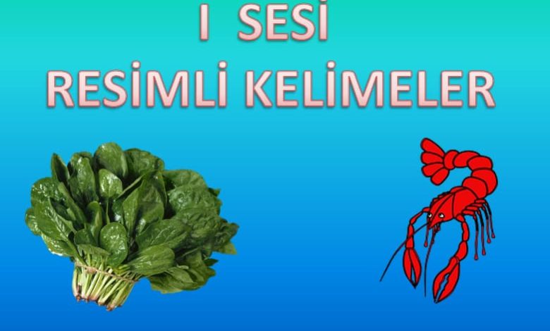 I Sesi Resimli Kelimeler Sunusu