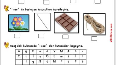 “İ sesi” hissetme ve tanıma etkinlikleri