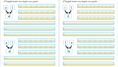 L Sesi Hece Yazma Etkinliği (Yeni Müfredata Uygun)