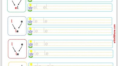 “L sesi” hece, kelime, cümle oluşturma etkinlikleri