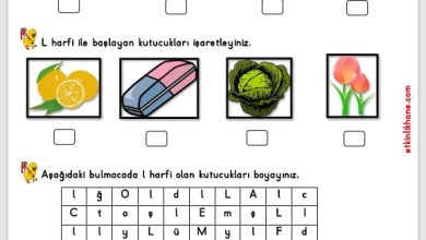 “L sesi” hissetme ve tanıma etkinlikleri