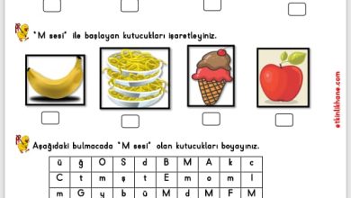 “M Sesi” Hissetme ve Tanıma Etkinlikleri