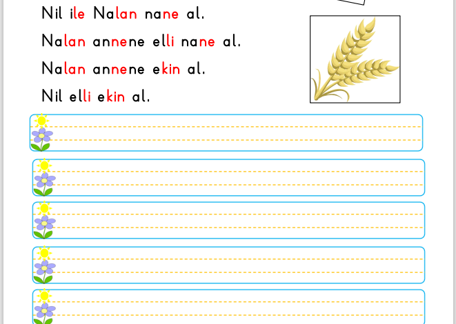 N Sesi Okuma ve Yazma Etkinliği – 2 (Nil)