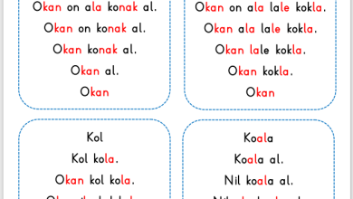 O Sesi Hızlı Okuma Metni – 2