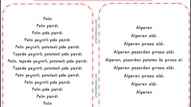 “P Sesi” Hızlı Okuma Metinleri