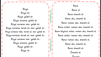 “R Sesi” Hızlı Okuma Metinleri