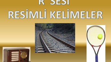 R Sesi Resimli Kelimeler Sunusu