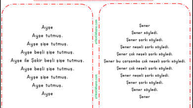 “Ş Sesi” Hızlı Okuma Metinleri