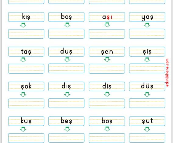 “Ş Sesi” Kelime Oluşturma Etkinlikleri