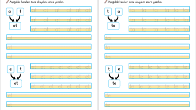 T Sesi Hece Yazma Etkinliği (Yeni Müfredata Uygun)