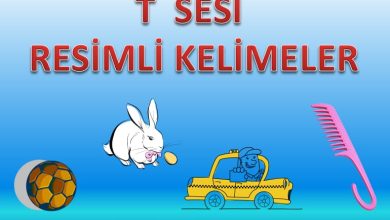 T Sesi Resimli Kelimeler Sunusu