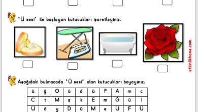 “Ü Sesi” Hissetme ve Tanıma Etkinlikleri