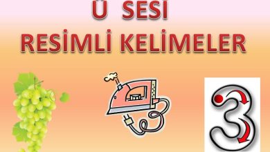 Ü Sesi Resimli Kelimeler Sunusu