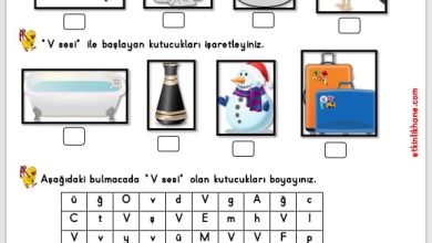 “V Sesi” Hissetme ve Tanıma Etkinlikleri