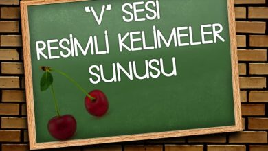 V Sesi Resimli Kelimeler Sunusu