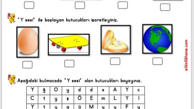 “Y Sesi” Hissetme ve Tanıma Etkinlikleri