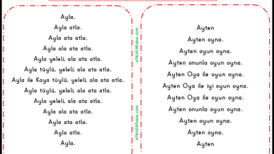 “Y Sesi” Hızlı Okuma Etkinlikleri