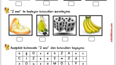 “Z Sesi” Hissetme ve Tanıma Etkinlikleri