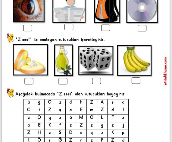 “Z Sesi” Hissetme ve Tanıma Etkinlikleri