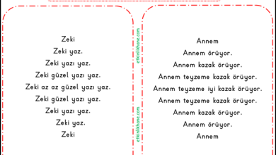 “Z Sesi” Hızlı Okuma Metinleri