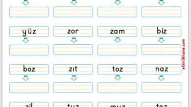 “Z Sesi” Kelime Oluşturma Etkinlikleri
