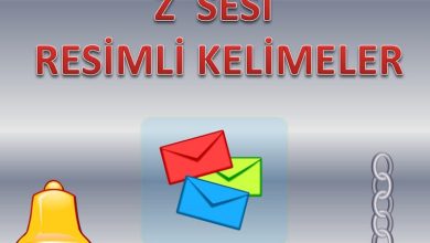 Z Sesi Resimli Kelimeler Sunusu