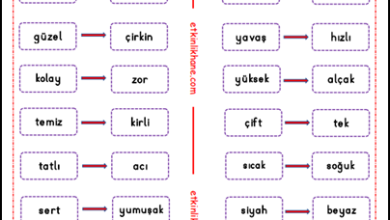 Zıt Anlamlı Kelimeler Etkinlikleri (1. Sınıf)