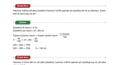 10. Sınıf Ata Yayıncılık Kimya Ders Kitabı Sayfa 102 Cevapları