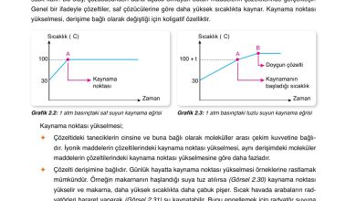 10. Sınıf Ata Yayıncılık Kimya Ders Kitabı Sayfa 107 Cevapları