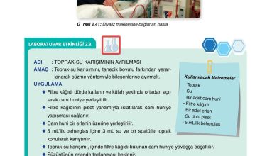 10. Sınıf Ata Yayıncılık Kimya Ders Kitabı Sayfa 113 Cevapları