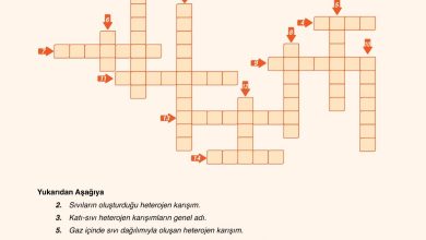 10. Sınıf Ata Yayıncılık Kimya Ders Kitabı Sayfa 123 Cevapları