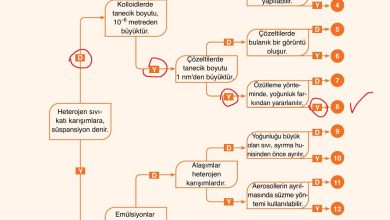 10. Sınıf Ata Yayıncılık Kimya Ders Kitabı Sayfa 124 Cevapları