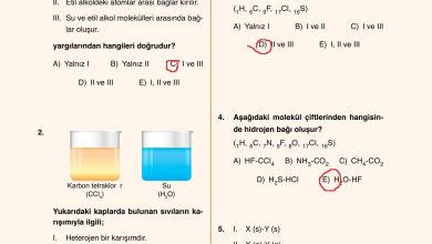 10. Sınıf Ata Yayıncılık Kimya Ders Kitabı Sayfa 129 Cevapları