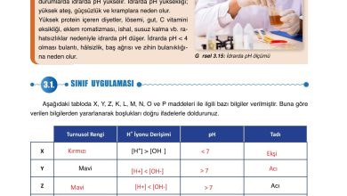 10. Sınıf Ata Yayıncılık Kimya Ders Kitabı Sayfa 141 Cevapları