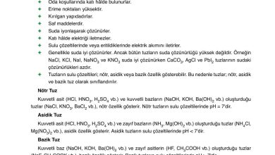 10. Sınıf Ata Yayıncılık Kimya Ders Kitabı Sayfa 160 Cevapları