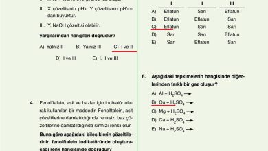 10. Sınıf Ata Yayıncılık Kimya Ders Kitabı Sayfa 166 Cevapları