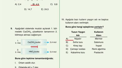 10. Sınıf Ata Yayıncılık Kimya Ders Kitabı Sayfa 167 Cevapları