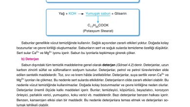 10. Sınıf Ata Yayıncılık Kimya Ders Kitabı Sayfa 171 Cevapları