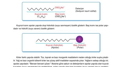 10. Sınıf Ata Yayıncılık Kimya Ders Kitabı Sayfa 172 Cevapları