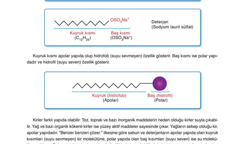 10. Sınıf Ata Yayıncılık Kimya Ders Kitabı Sayfa 172 Cevapları