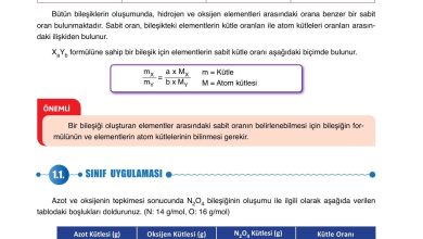 10. Sınıf Ata Yayıncılık Kimya Ders Kitabı Sayfa 19 Cevapları