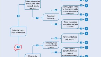 10. Sınıf Ata Yayıncılık Kimya Ders Kitabı Sayfa 195 Cevapları