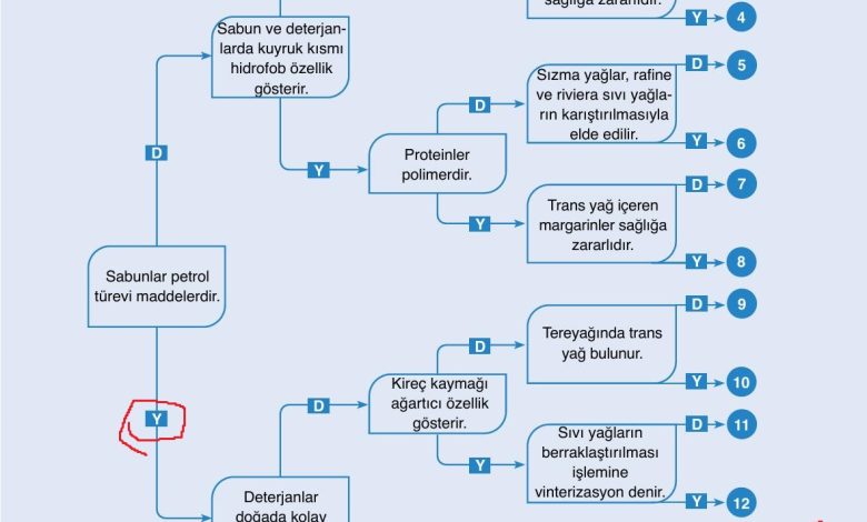 10. Sınıf Ata Yayıncılık Kimya Ders Kitabı Sayfa 195 Cevapları