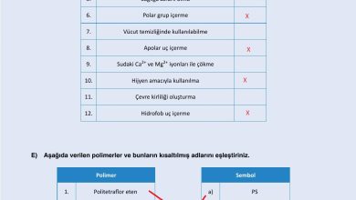 10. Sınıf Ata Yayıncılık Kimya Ders Kitabı Sayfa 197 Cevapları