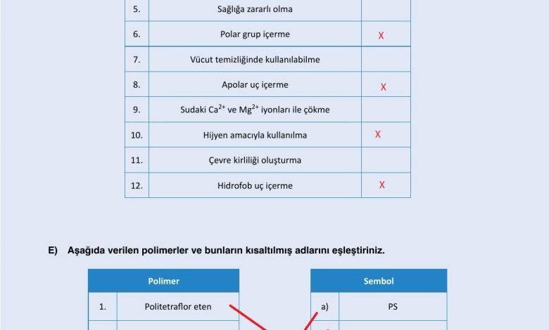 10. Sınıf Ata Yayıncılık Kimya Ders Kitabı Sayfa 197 Cevapları