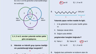 10. Sınıf Ata Yayıncılık Kimya Ders Kitabı Sayfa 198 Cevapları